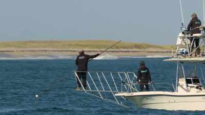 Hoe diep het water is,
hoe groot dat dier is. - Return of the White Shark