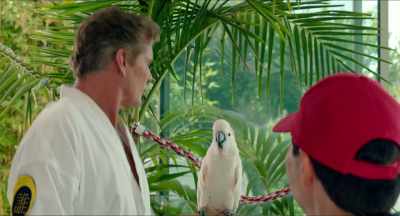 # Hoff stuff, baby, want some Hoff stuff - Killing Hasselhoff