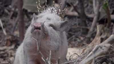 -Hog Queen:  Welcome home, Dirk Hamsteak. - Rob Riggle's Ski Master Academy