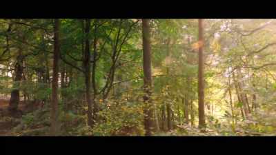 Hogback Wood was their Eden, - Good Omens
