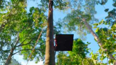 Hoisting each
80-pound platform ten stories high - The Secret Lives of Animals