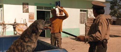 Hola Is This your dog - The Mexican