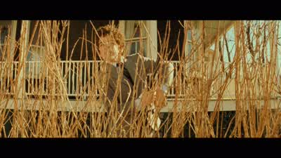 Hold it ChassieHold it right thereWhat are you doing You're on my teamThere are no teamsThe BB was still lodged between two knucklesin Chas's left hand - The Royal Tenenbaums