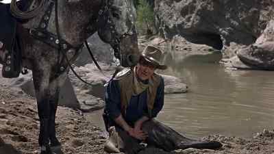 Hold it, Cochise.
Steady, boy. - El Dorado