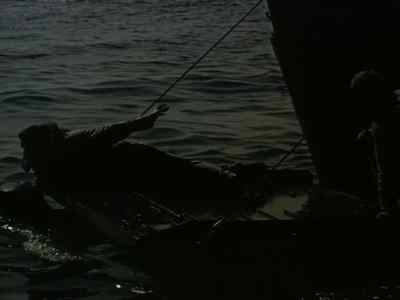 Hold it! Hold it! - Away All Boats