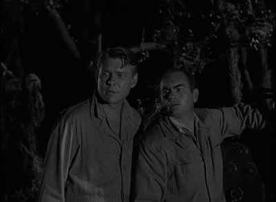 Hold it. - Revenge of the Creature