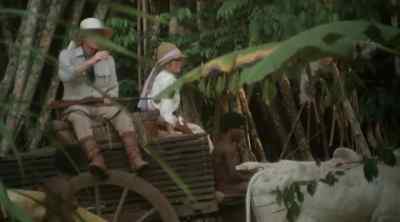 Hold it. - Tarzan the Ape Man