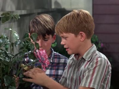 HOLD IT UP STRAIGHT! - The Andy Griffith Show