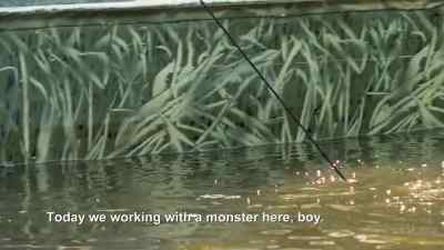           Hold on, cuz.
            Hold on. - Swamp People
