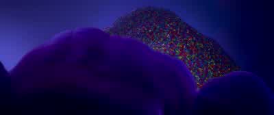 Hold on, Joy. - Inside Out 2