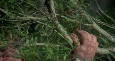 - Hold on. - Pick-up