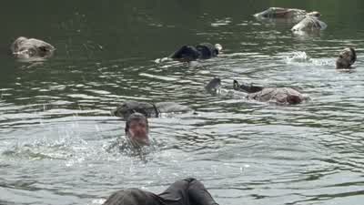 Hold on! - The Walking Dead