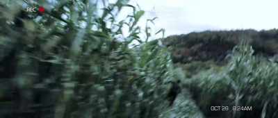 - Hold on! We're coming!
- Matt, hold on! Wait for me! - The Gracefield Incident