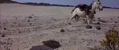 Hold still now, mule.
Damn it, hold still! - Waterhole #3