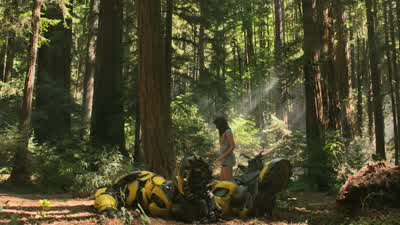 Hold still. - Bumblebee