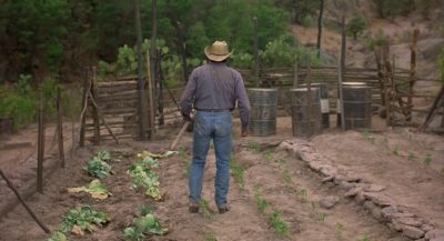 Hold it tamale pie - Who'll Stop the Rain