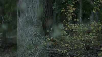 Holes: FOR 40 YEARS,
HE'S PLAYED A GAME - The Golden State Killer: It's Not Over