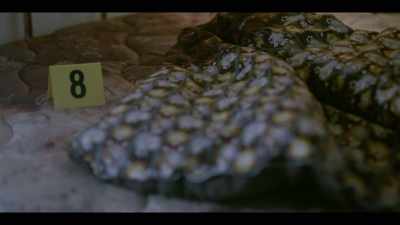HOLES: In Manuela's case, - I'll Be Gone in the Dark