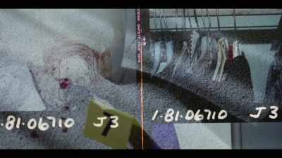 HOLES:
The offender's semen was found, - I'll Be Gone in the Dark