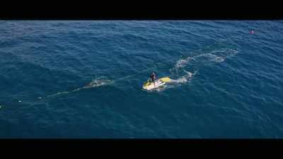 [Holly] The day that I
found a humpback whale - Envoy: Shark Cull