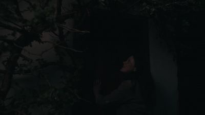 Will? - The Essex Serpent