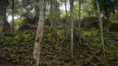 Holmul is the gift
that keeps on giving. - Lost Treasures of the Maya