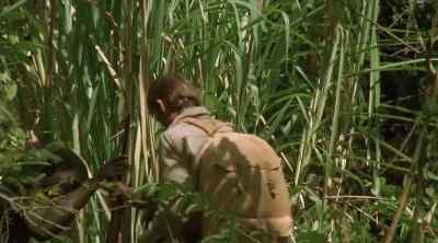 Holt, I said keep your eye
on her not your bloody bearers. - Tarzan the Ape Man