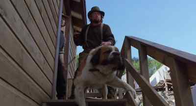 Holy biscuits!
Look at that dog. - White Fang