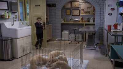 Holy chalupas! They're adorable! - Fuller House