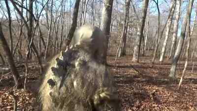 Holy Satana, Holy
Satana, Holy Satana. - Bigfoot Exorcist