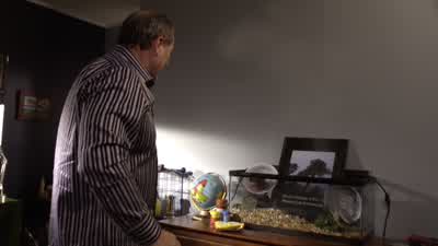 Holy- Shel? - Modern Family