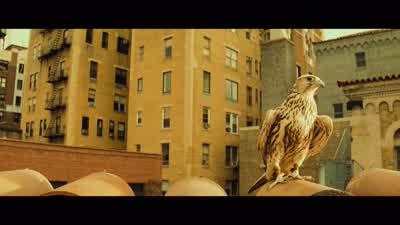Holy shit. - The Royal Tenenbaums
