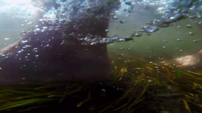 Holy smokes.
Look at this hot spring. - Secrets of the Underground