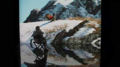 Home to an extraordinary
array of species. - Frozen Planet II