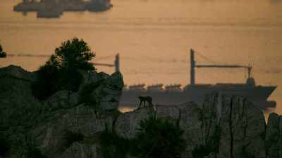 Home to Europe's only monkeys. - Seven Worlds, One Planet