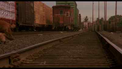 Home is just
beyond these tracks. - Homeward Bound: The Incredible Journey
