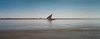 Home. - The Egyptian