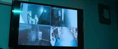   Home Security from behind here.
An oke escaped and climbed in through - The Shakedown