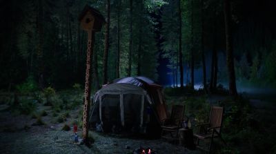 Home sweet home! - Woody Woodpecker