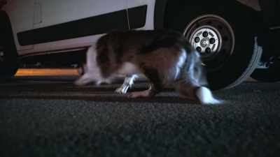 Homes on the same block
get hit all the time. - Junkyard Dogs