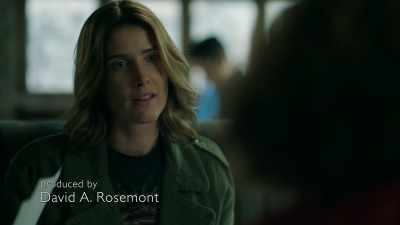 Honest cop
in a dirty station house, - Stumptown