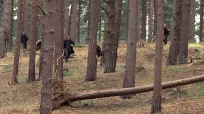 - Honestly, I remember
you and I, Emma, - Harry Potter 20th Anniversary: Return to Hogwarts