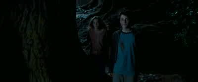 Honestly, Ron. - Harry Potter and the Prisoner of Azkaban