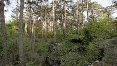 Honestly speaking,
you can barely see anything - Secret Nazi Ruins