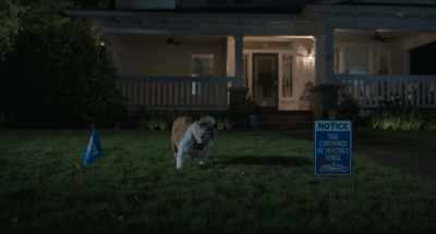 Honestly, that is persuasive,
and I don't know why. - Strays