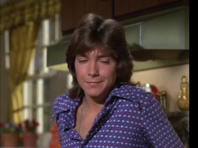 Honey I appreciate you volunteering - The Partridge Family