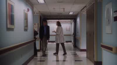 Honey? I'm so sorry. - The Perks of Being a Wallflower