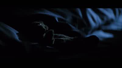 Honey. Honey, it's late. - Memento