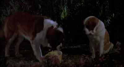 - Honey, if that's what you think.
- I'll call the bank. - Beethoven's 2nd