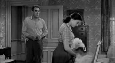Honey, uh... - The Black Orchid